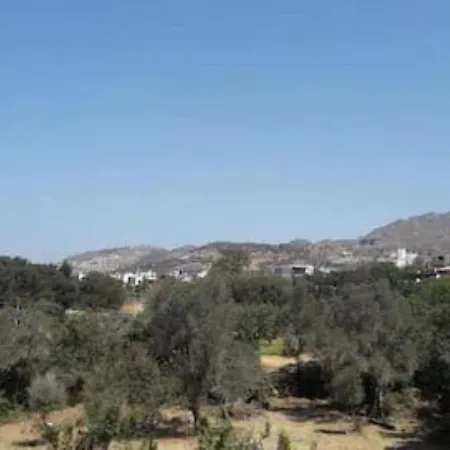 Nature View Boho In Gumusluk Bodrum